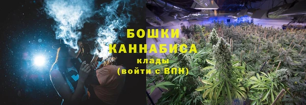 ECSTASY Армянск
