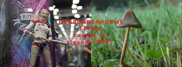 соль курить ск Аркадак