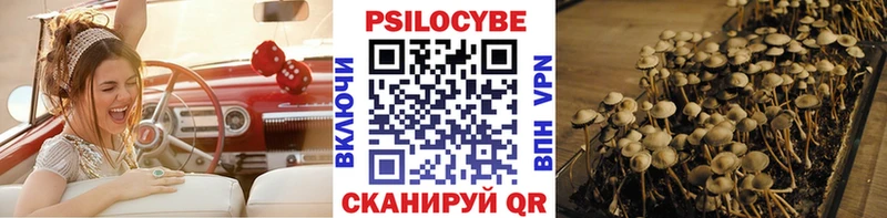 Галлюциногенные грибы прущие грибы  Купить закладки  Дедовск 